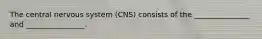 The central nervous system (CNS) consists of the _______________ and ________________.