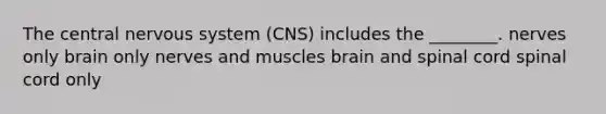 The central nervous system (CNS) includes the ________. nerves only brain only nerves and muscles brain and spinal cord spinal cord only