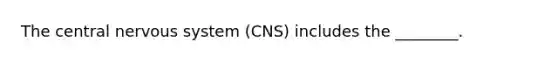 The central nervous system (CNS) includes the ________.