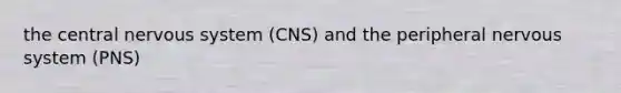 the central nervous system (CNS) and the peripheral nervous system (PNS)