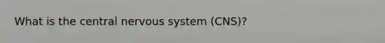 What is the central <a href='https://www.questionai.com/knowledge/kThdVqrsqy-nervous-system' class='anchor-knowledge'>nervous system</a> (CNS)?