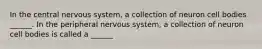In the central nervous system, a collection of neuron cell bodies ______. In the peripheral nervous system, a collection of neuron cell bodies is called a ______