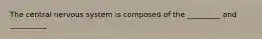 The central nervous system is composed of the _________ and __________.