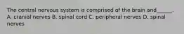 The central nervous system is comprised of the brain and______. A. cranial nerves B. spinal cord C. peripheral nerves D. spinal nerves
