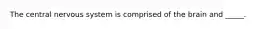 The central nervous system is comprised of the brain and _____.