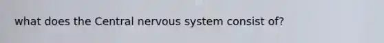 what does the Central nervous system consist of?