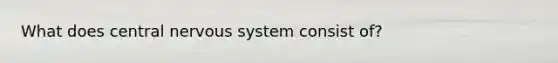 What does central nervous system consist of?