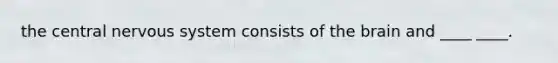 the central nervous system consists of the brain and ____ ____.