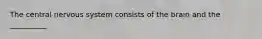 The central nervous system consists of the brain and the __________