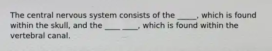 The central nervous system consists of the _____, which is found within the skull, and the ____ ____, which is found within the vertebral canal.