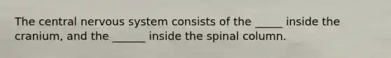 The central nervous system consists of the _____ inside the cranium, and the ______ inside the spinal column.