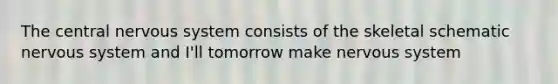 The central nervous system consists of the skeletal schematic nervous system and I'll tomorrow make nervous system