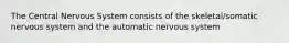 The Central Nervous System consists of the skeletal/somatic nervous system and the automatic nervous system