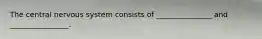 The central nervous system consists of _______________ and ________________.