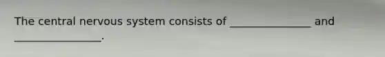 The central nervous system consists of _______________ and ________________.