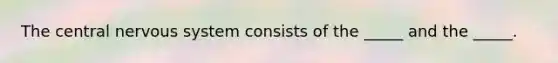 The central nervous system consists of the _____ and the _____.