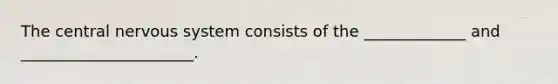 The central nervous system consists of the _____________ and ______________________.