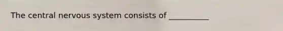 The central nervous system consists of __________