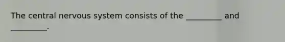 The central nervous system consists of the _________ and _________.