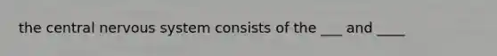 the central nervous system consists of the ___ and ____