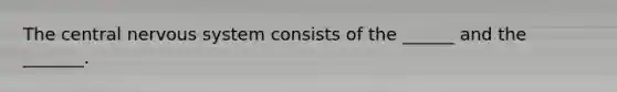 The central nervous system consists of the ______ and the _______.