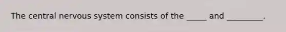 The central nervous system consists of the _____ and _________.