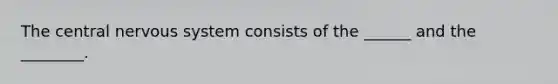 The central nervous system consists of the ______ and the ________.