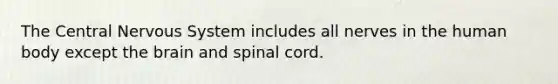 The Central <a href='https://www.questionai.com/knowledge/kThdVqrsqy-nervous-system' class='anchor-knowledge'>nervous system</a> includes all nerves in the human body except <a href='https://www.questionai.com/knowledge/kLMtJeqKp6-the-brain' class='anchor-knowledge'>the brain</a> and spinal cord.