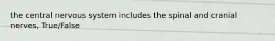 the central nervous system includes the spinal and cranial nerves, True/False