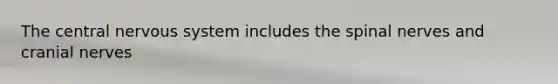 The central nervous system includes the spinal nerves and cranial nerves