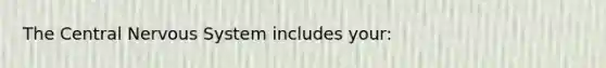 The Central Nervous System includes your: