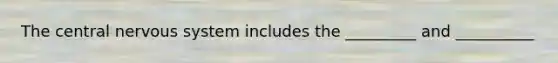 The central nervous system includes the _________ and __________