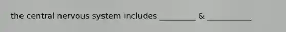 the central nervous system includes _________ & ___________