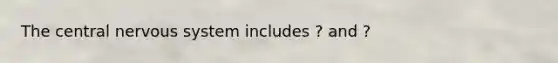 The central nervous system includes ? and ?