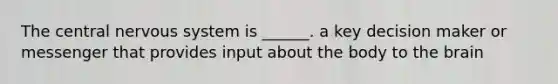 The central <a href='https://www.questionai.com/knowledge/kThdVqrsqy-nervous-system' class='anchor-knowledge'>nervous system</a> is ______. a key decision maker or messenger that provides input about the body to <a href='https://www.questionai.com/knowledge/kLMtJeqKp6-the-brain' class='anchor-knowledge'>the brain</a>