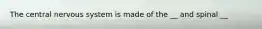 The central nervous system is made of the __ and spinal __