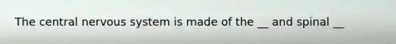 The central <a href='https://www.questionai.com/knowledge/kThdVqrsqy-nervous-system' class='anchor-knowledge'>nervous system</a> is made of the __ and spinal __