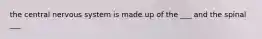 the central nervous system is made up of the ___ and the spinal ___