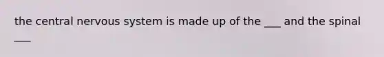 the central nervous system is made up of the ___ and the spinal ___