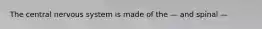 The central nervous system is made of the — and spinal —