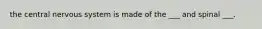 the central nervous system is made of the ___ and spinal ___.