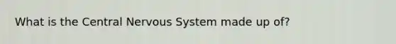 What is the Central Nervous System made up of?