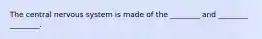 The central nervous system is made of the ________ and ________ ________.