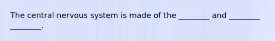The central nervous system is made of the ________ and ________ ________.