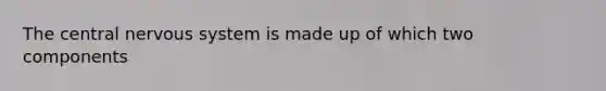 The central nervous system is made up of which two components