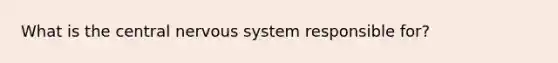 What is the central nervous system responsible for?