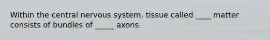 Within the central nervous system, tissue called ____ matter consists of bundles of _____ axons.