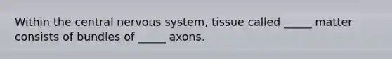 Within the central nervous system, tissue called _____ matter consists of bundles of _____ axons.