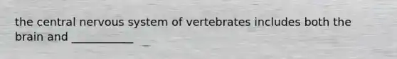 the central nervous system of vertebrates includes both the brain and ___________