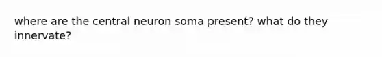 where are the central neuron soma present? what do they innervate?